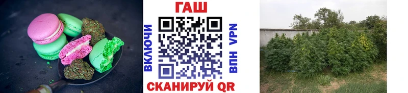 Cannafood конопля  Кстово 
