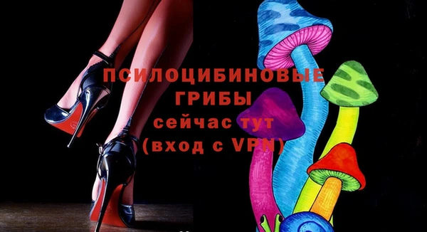 ГАЛЛЮЦИНОГЕННЫЕ ГРИБЫ Михайловск