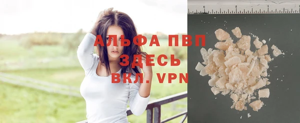 стаф Кодинск