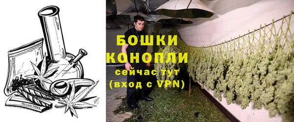 стаф Кодинск