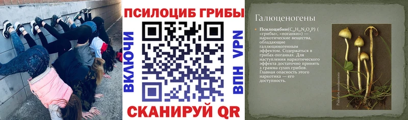 Псилоцибиновые грибы Psilocybine cubensis  Кстово 